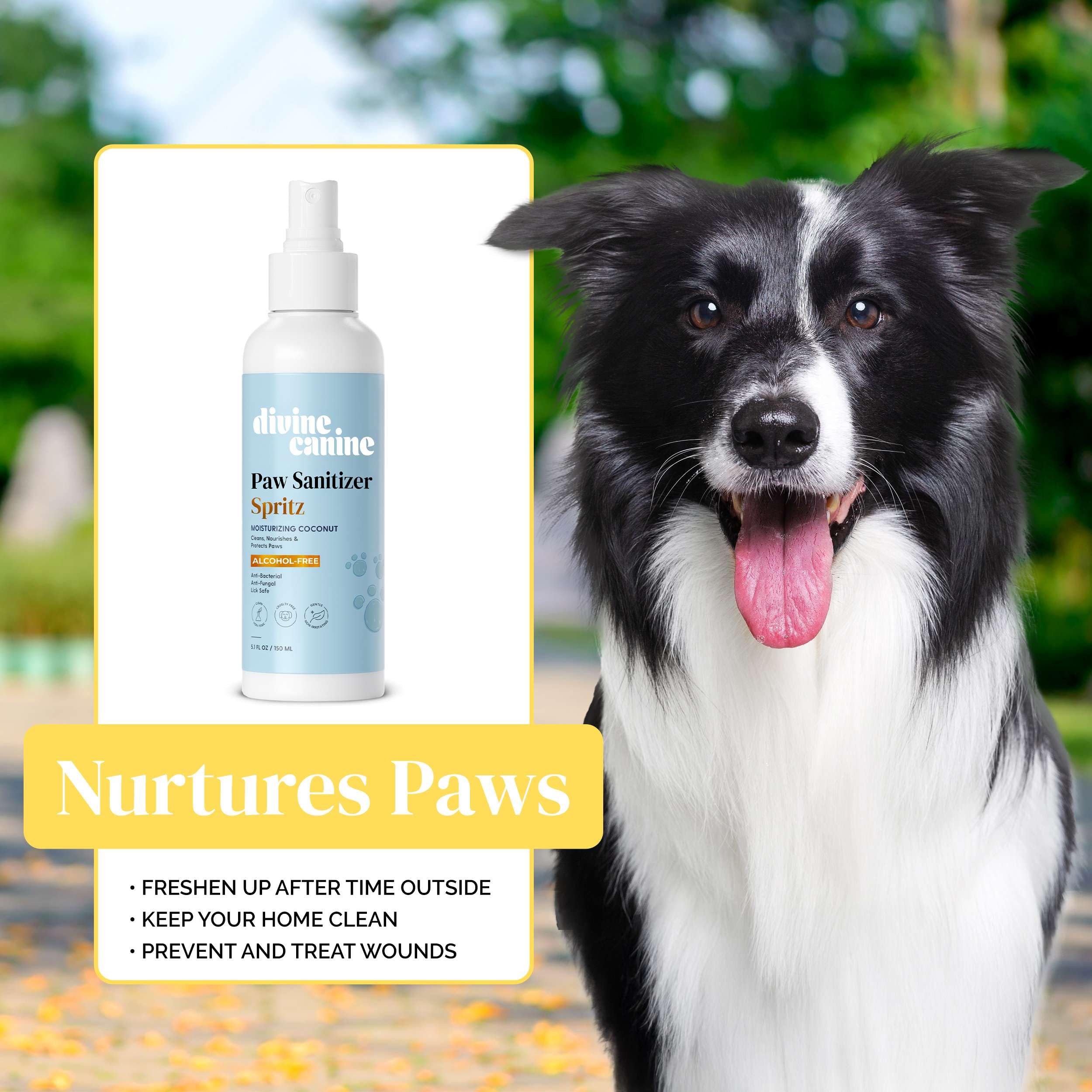 Dog Paw Cleaner - 5.1 Fl Oz of Alcohol Free Paw Sanitizer Spritz - Made with Coconut, Aloe, Copaiba Oil, and Lemongrass Oil to N